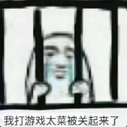 小白打游戏真蔡