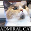 [A]dmiral Cat
