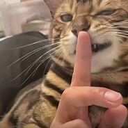 怎么老是偷我菜