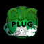 plug