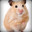 Hamsterman