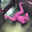 PINKGUY