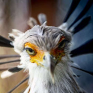 越毒瘤，越团队