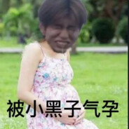 被小黑子气孕
