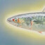 heavenly mackerel