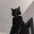 KiTMeN