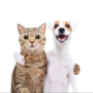 F8c44e2c1b0ab4be741589f65c0dc3b7cfa64bb9 full