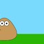 pou