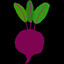 Beetroot