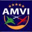 AMVI_RugerOne