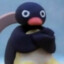 noot