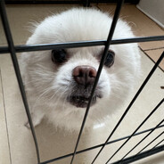 超级无敌宇宙崔哥