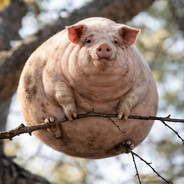 пацик - steam id 76561199006182076