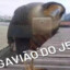 Gavião do J5