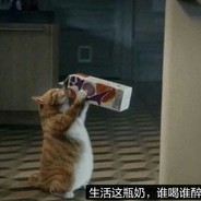 加油鸭！酱油油！