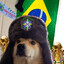 NEroo