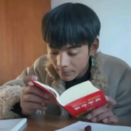 爱锐克的雪豹同学