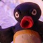 Noot Noot Motherfuckers