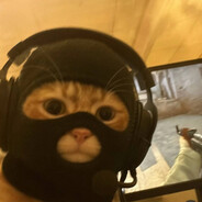 ARABIANO FARRUR PIKON