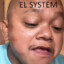 elsystem