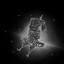 Zatomus