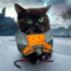 Gordon Cat