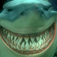 ^_^::п0каж1 CиCечкi::^_^