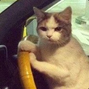 Schrodinger's Cat