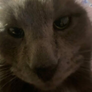 MoJIodoū | NeMINVIAK