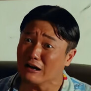 你王姐归来吗？