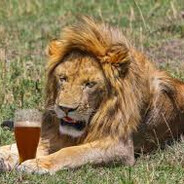 Лев Петрович