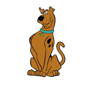 SHAGGY