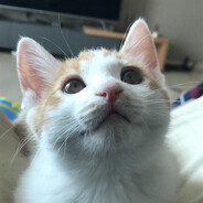 玩家头像