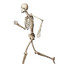 95MPH Skeleton