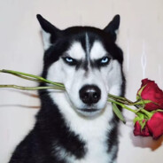 че за лев это тигр