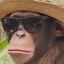 S.S Chimpton