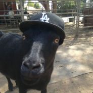 Nie chudy Antek. ! :)