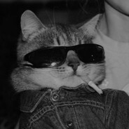 MadGap- - steam id 76561199587882925
