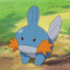 Mudkip