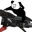 柳智敏的月亮