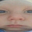 Plisk1n