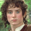 Herr Frodo