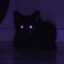Kuki