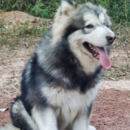 寂寞的小人儿，冰冷的