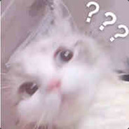 恋花绽放樱飞时