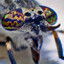 10,000 Hungry Horseflies