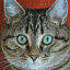 Tabby