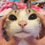 你不应该惹怒年仅五岁