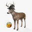 scary deer