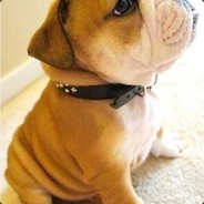 向天再借两厘米